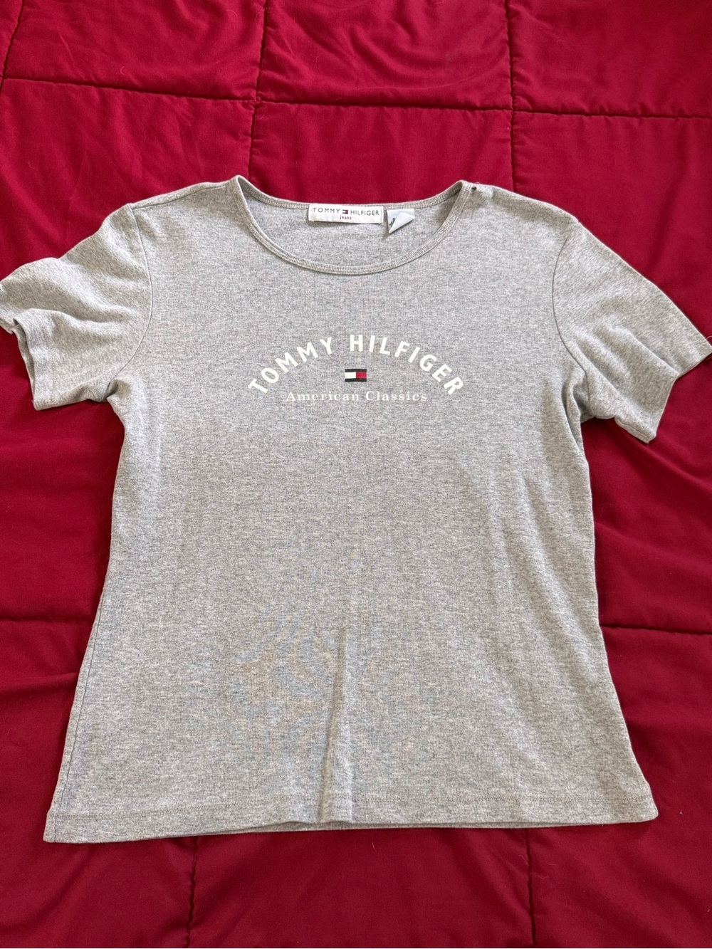 Tommy Hilfiger Light Gray Logo Crewneck Tee with Flag